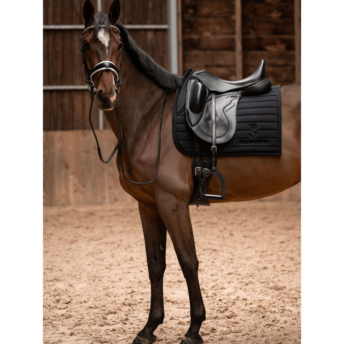 PS of Sweden Saddlepad Stripe Dressage Black