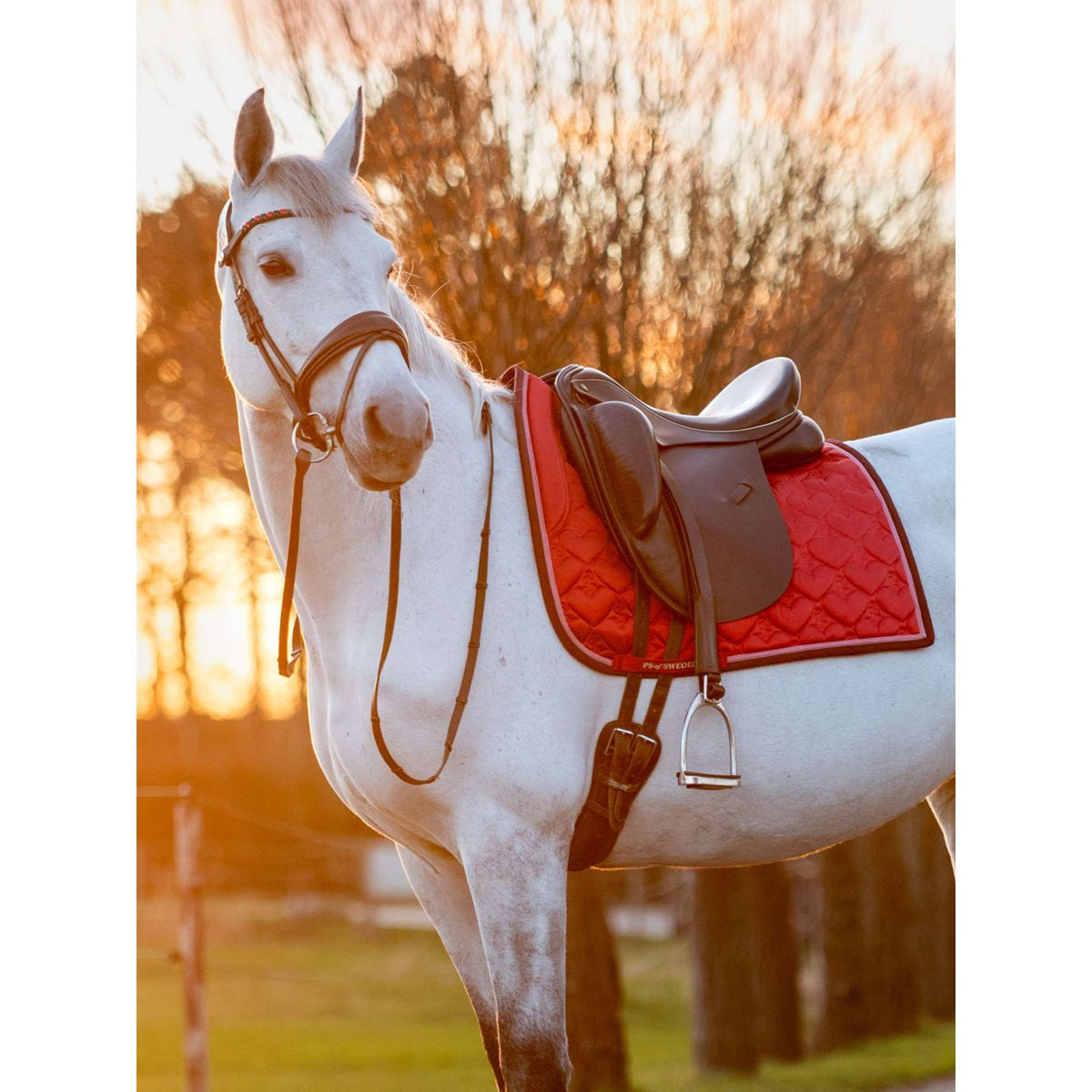 PS of Sweden Saddlepad Heart Dressage Red Heart