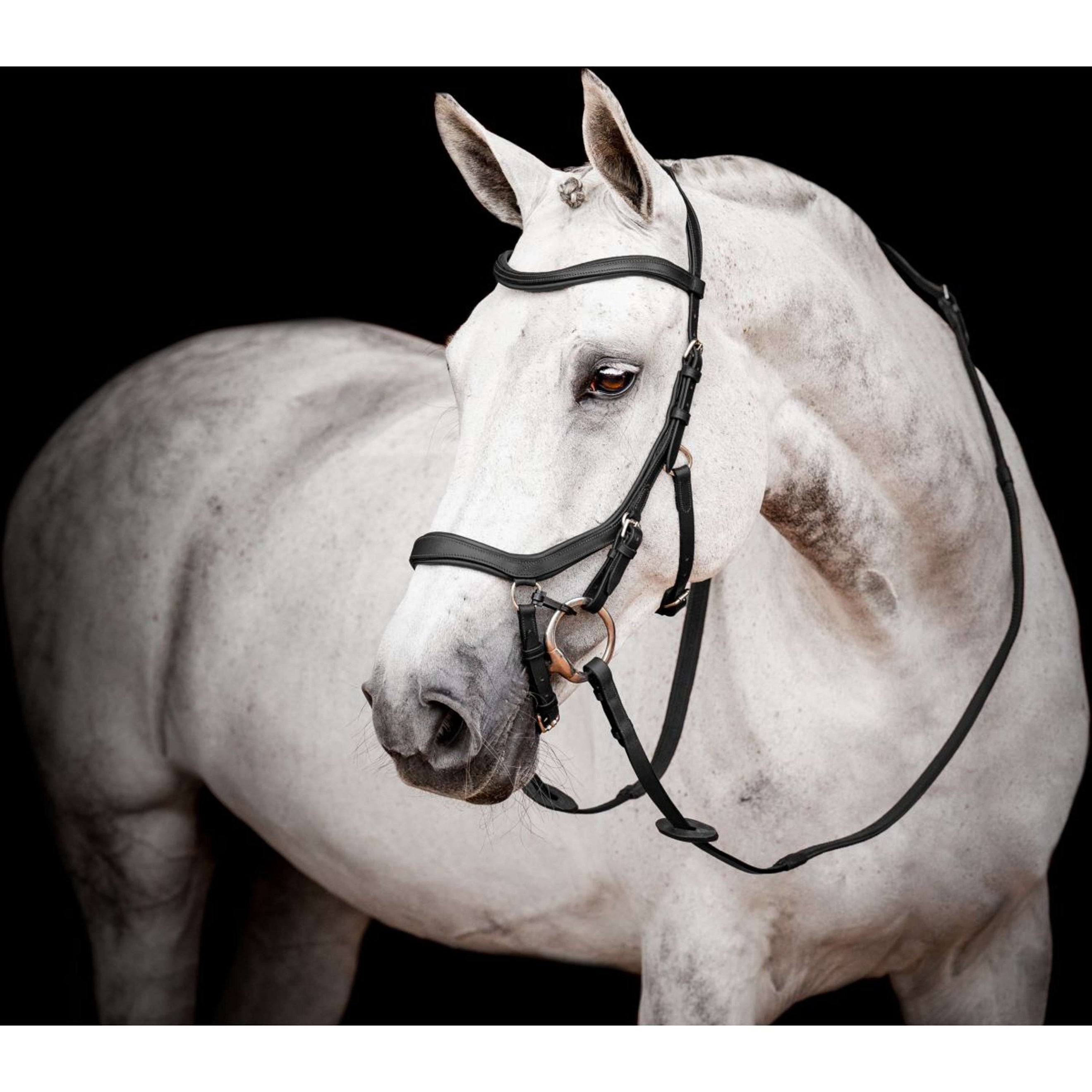 Rambo Micklem Competition Bridle New Black