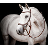 Horseware Micklem Multi Bridle New Dark Havana