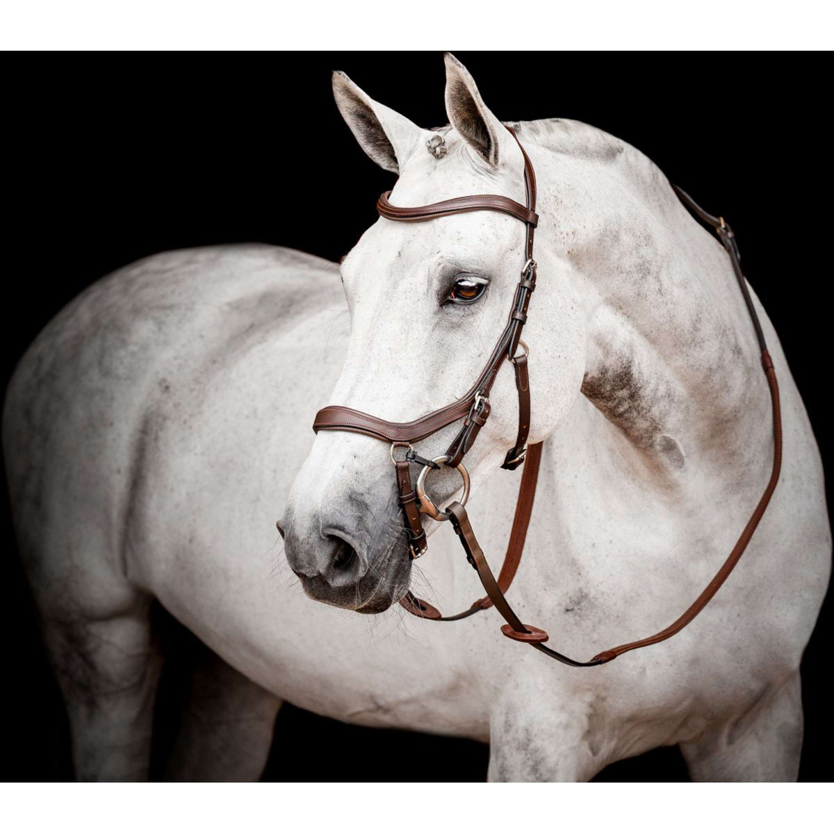 Horseware Micklem Multi Bridle New Dark Havana