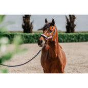 Red Horse Head Collar Set Akira Holographic