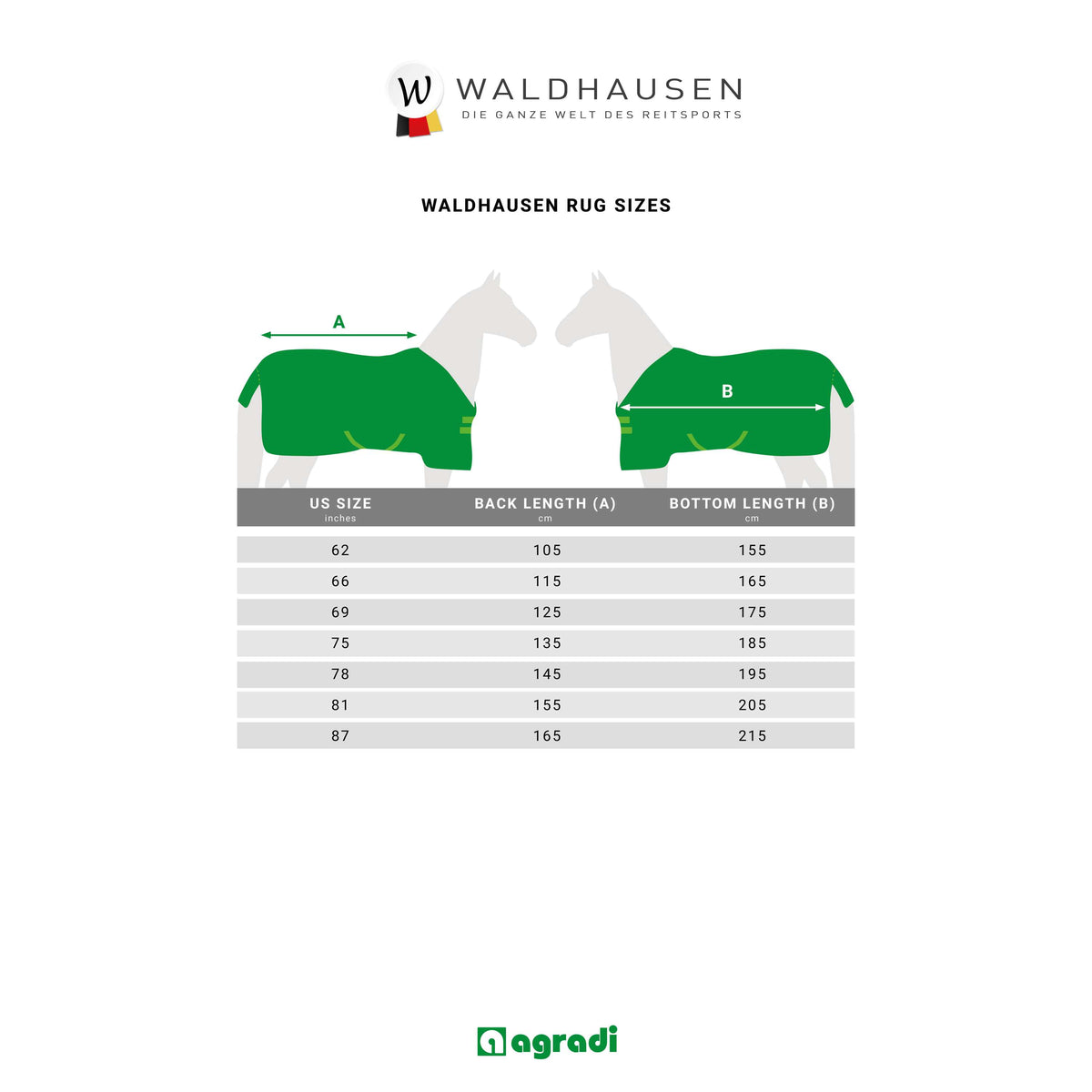 Waldhausen Foal Rug 100g Waterproof Fir Green