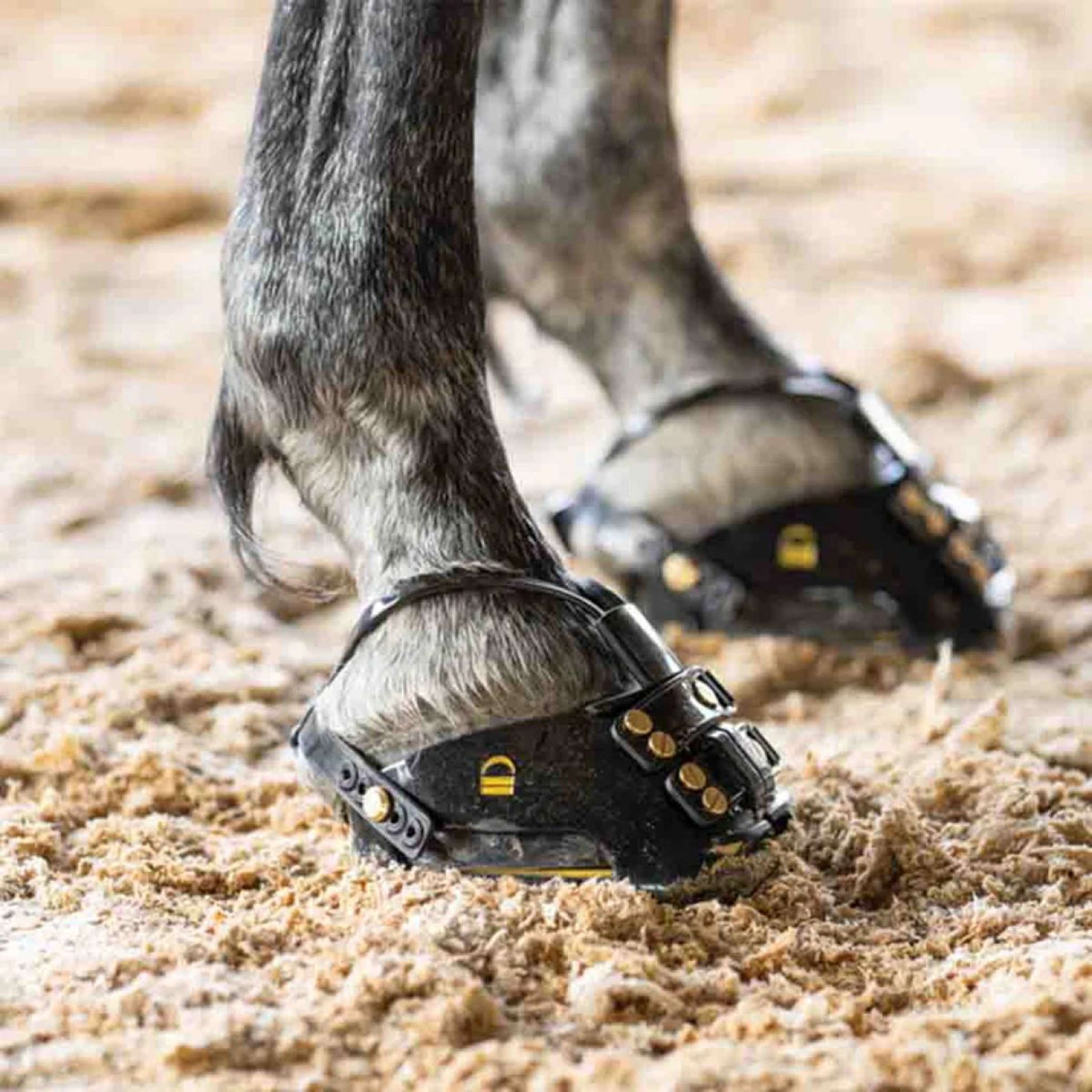 Scoot Boot Horse Shoe TheraRide Black