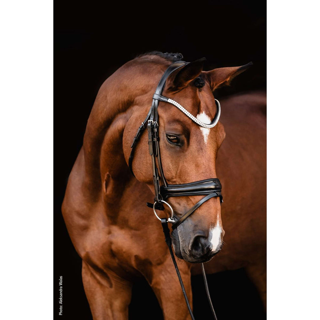 Schockemöhle Snaffle Bridle SP Isabell Werth Johnny Black/Silver