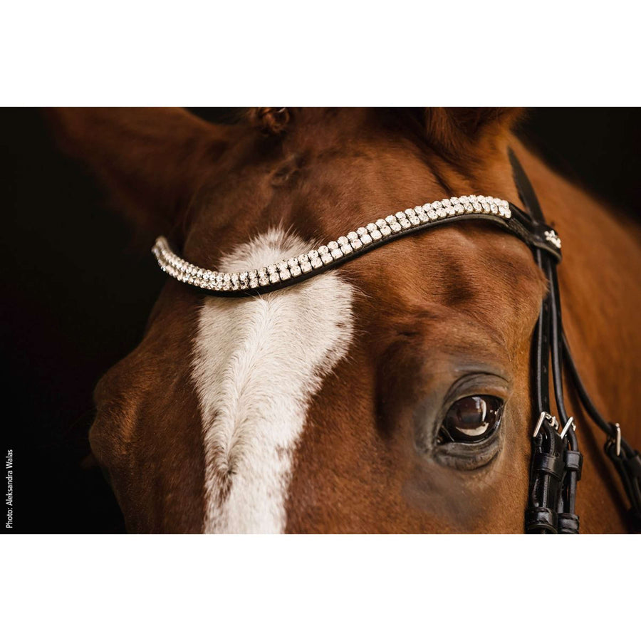 Schockemöhle Snaffle Bridle SP Isabell Werth Johnny Black/Silver