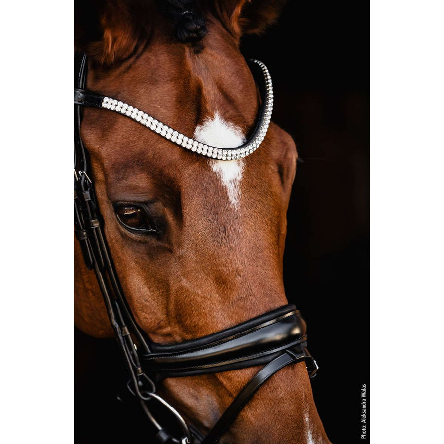 Schockemöhle Snaffle Bridle SP Isabell Werth Johnny Black/Silver