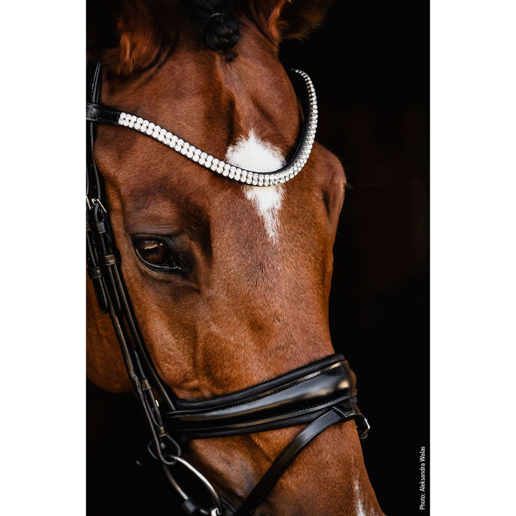 Schockemöhle Snaffle Bridle SP Isabell Werth Johnny Black/Silver