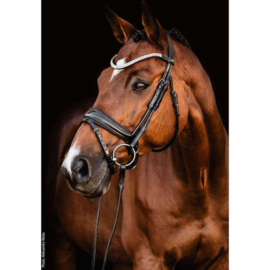 Schockemöhle Snaffle Bridle SP Isabell Werth Johnny Black/Silver