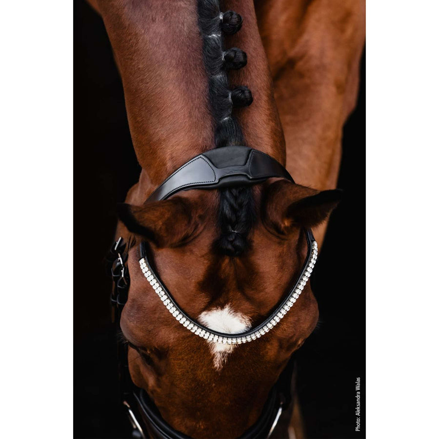 Schockemöhle Snaffle Bridle SP Isabell Werth Johnny Black/Silver