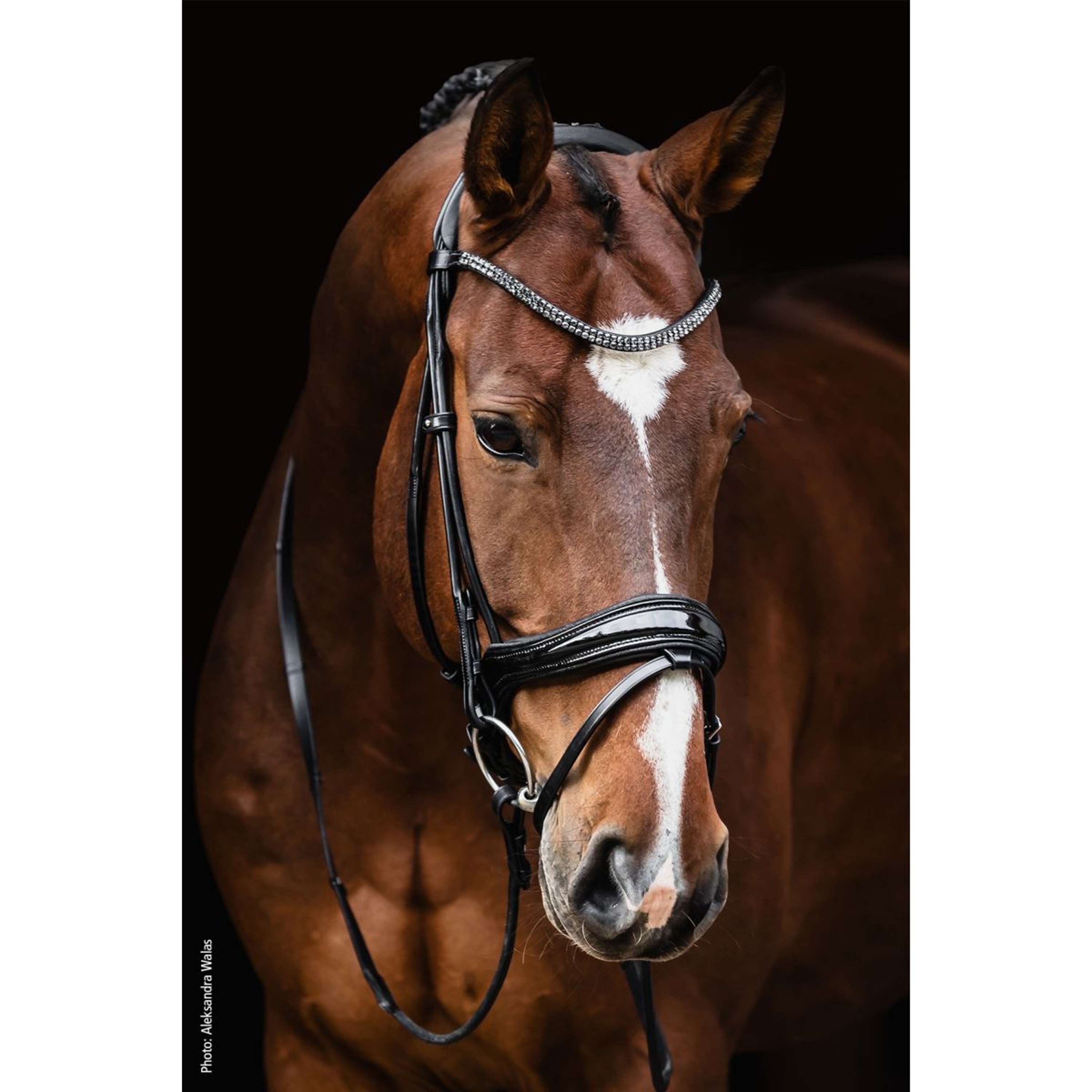 Schockemöhle Snaffle Bridle SP Isabell Werth Satchmo Black/Patent/Silver