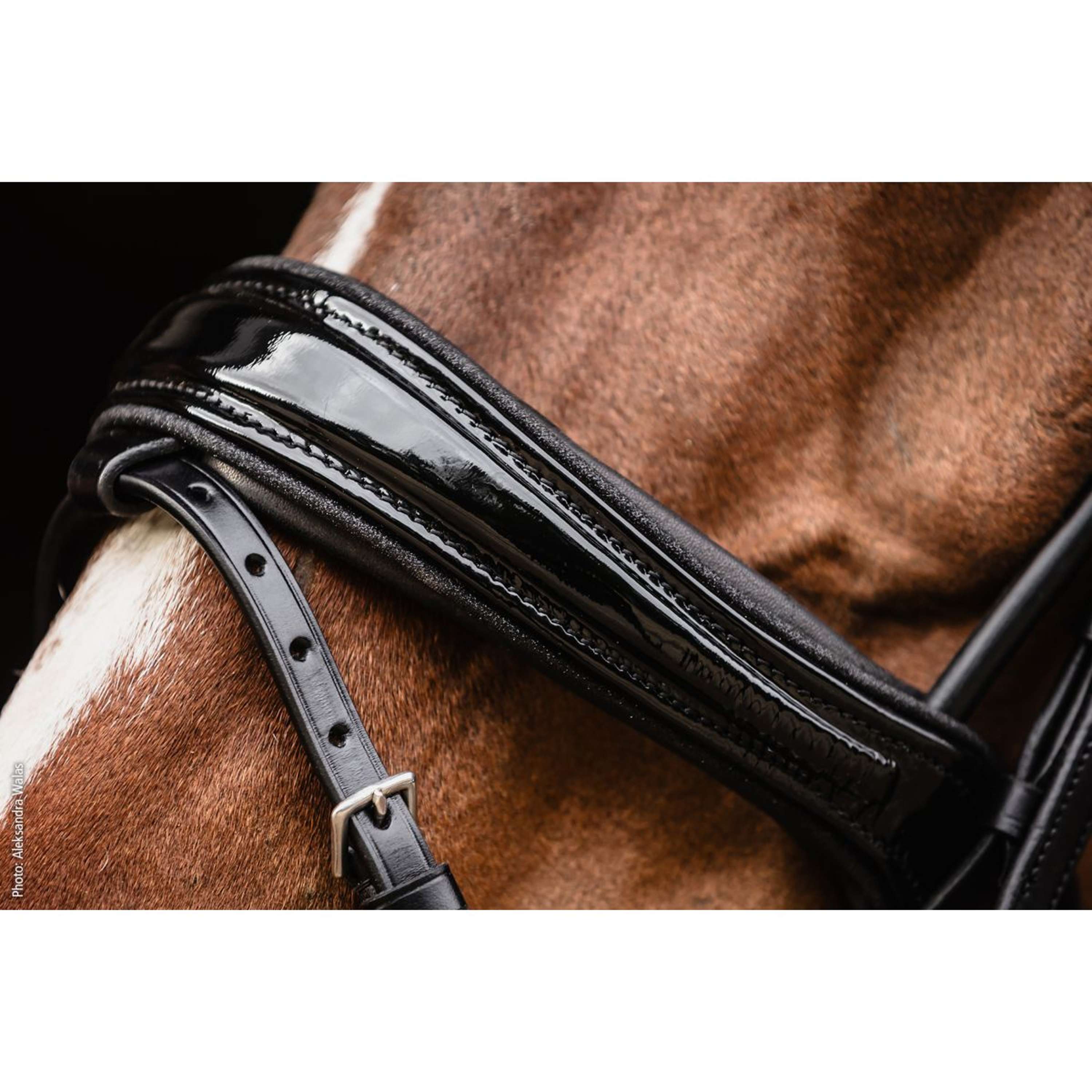 Schockemöhle Snaffle Bridle SP Isabell Werth Satchmo Black/Patent/Silver