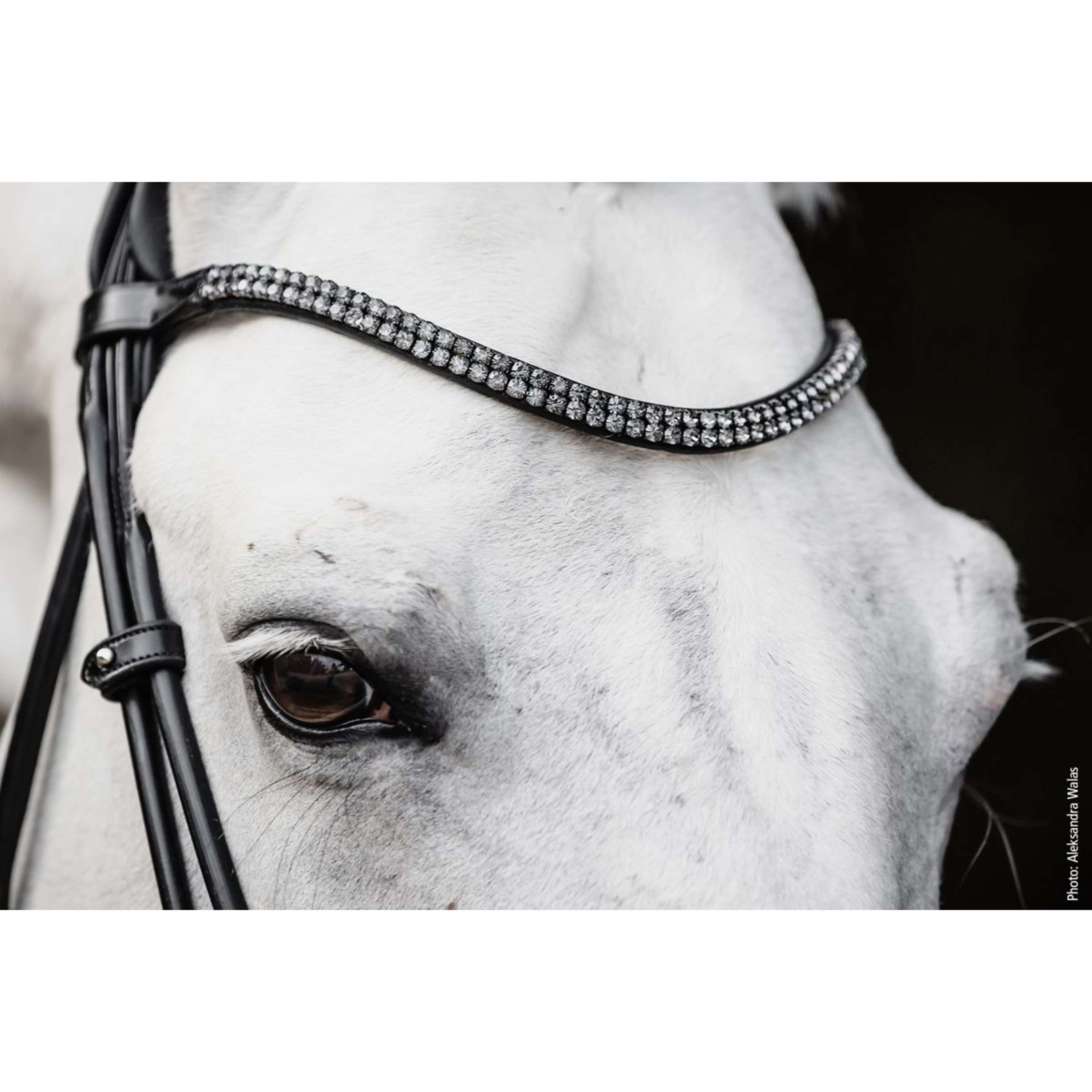Schockemöhle Snaffle Bridle SP Isabell Werth Satchmo Black/Patent/Silver