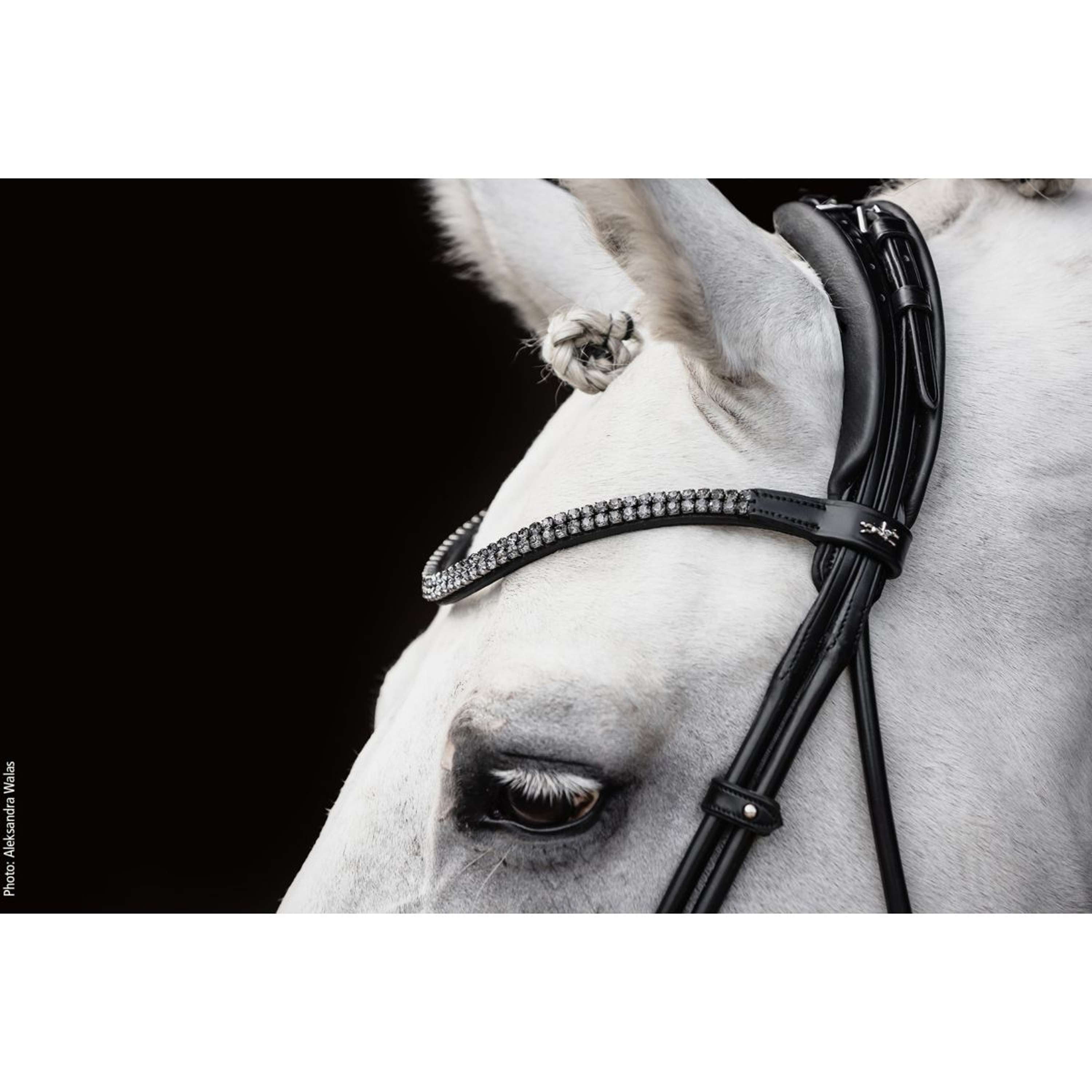 Schockemöhle Snaffle Bridle SP Isabell Werth Satchmo Black/Patent/Silver
