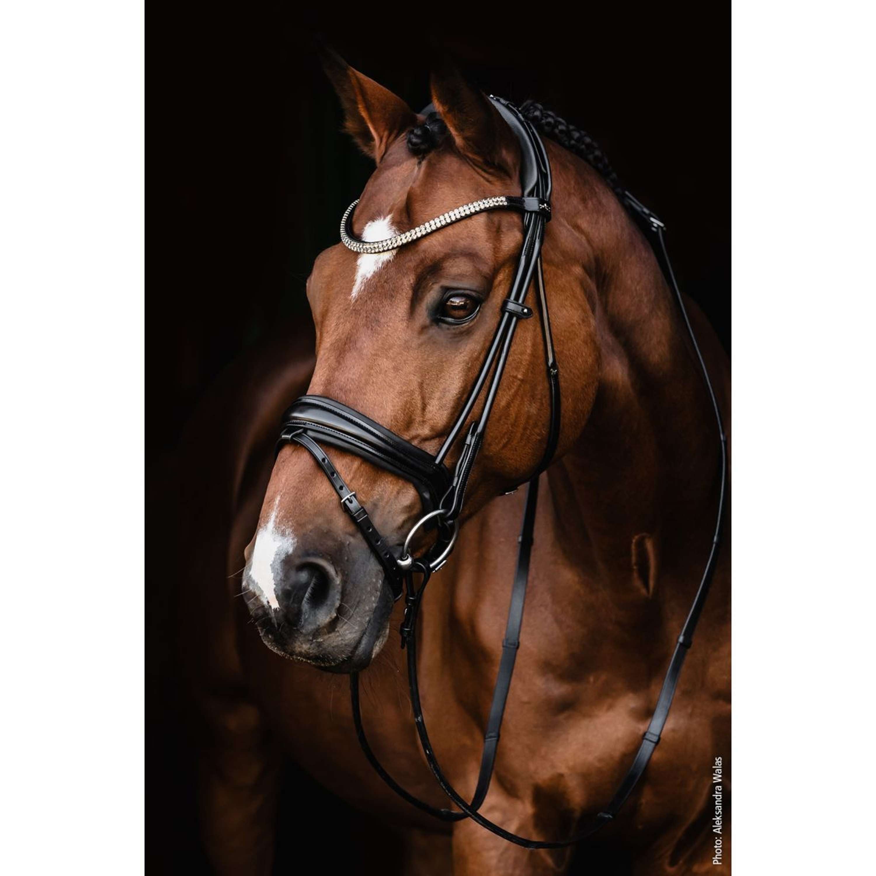 Schockemöhle Snaffle Bridle SP Isabell Werth Satchmo Black/Silver