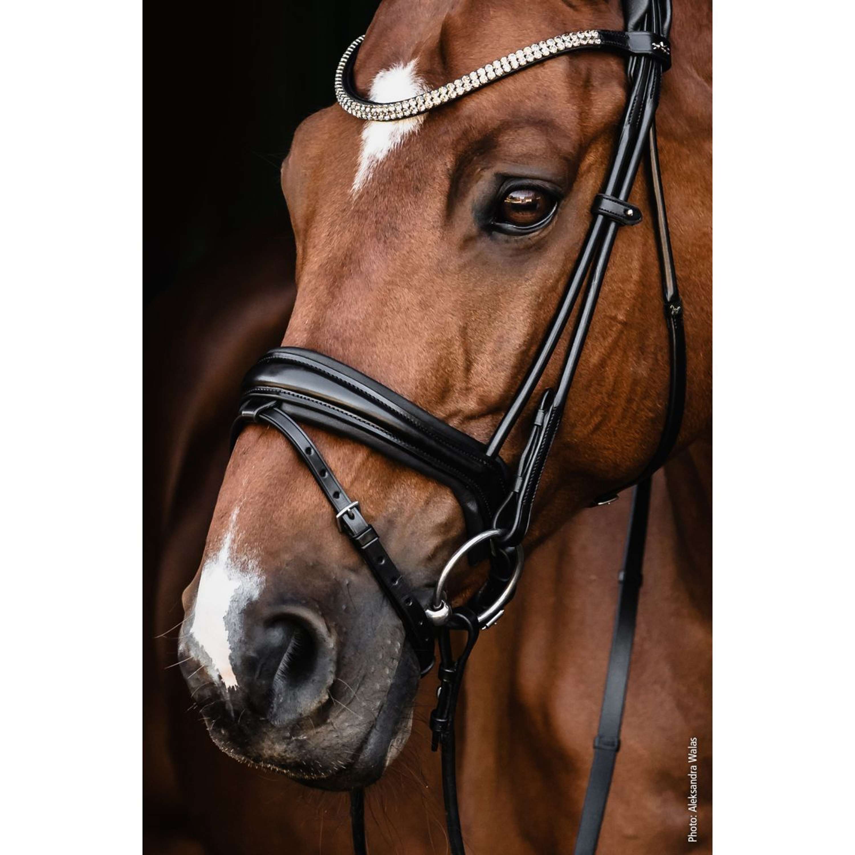 Schockemöhle Snaffle Bridle SP Isabell Werth Satchmo Black/Silver