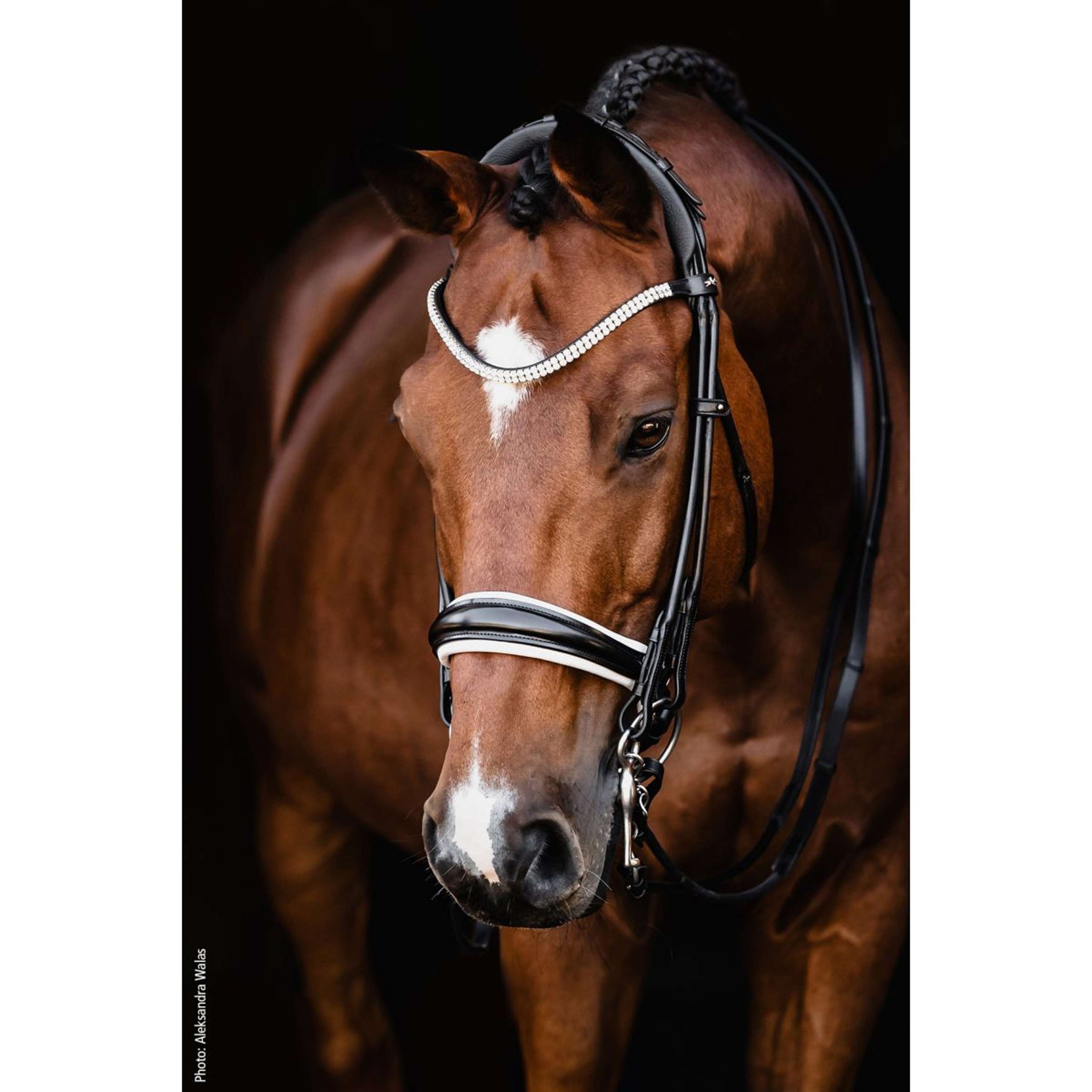 Schockemöhle Double Bridle SP Isabell Werth Bella Rose Black/White/Silver