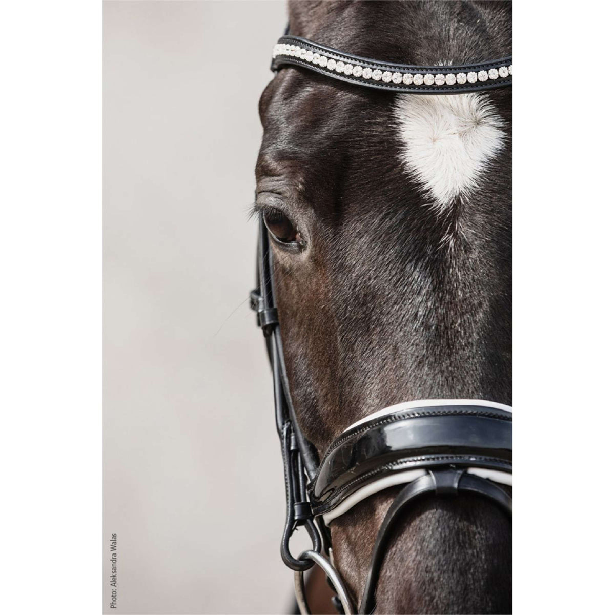 Schockemöhle Bridle Premium sports Malibu Black/Patent/White/Silver