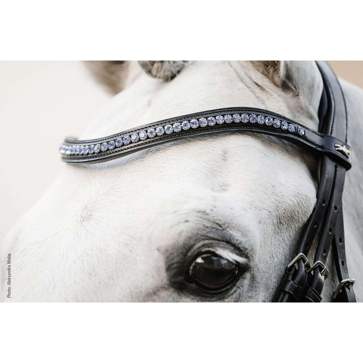 Schockemöhle Browband Diamond Select Black/Light Blue