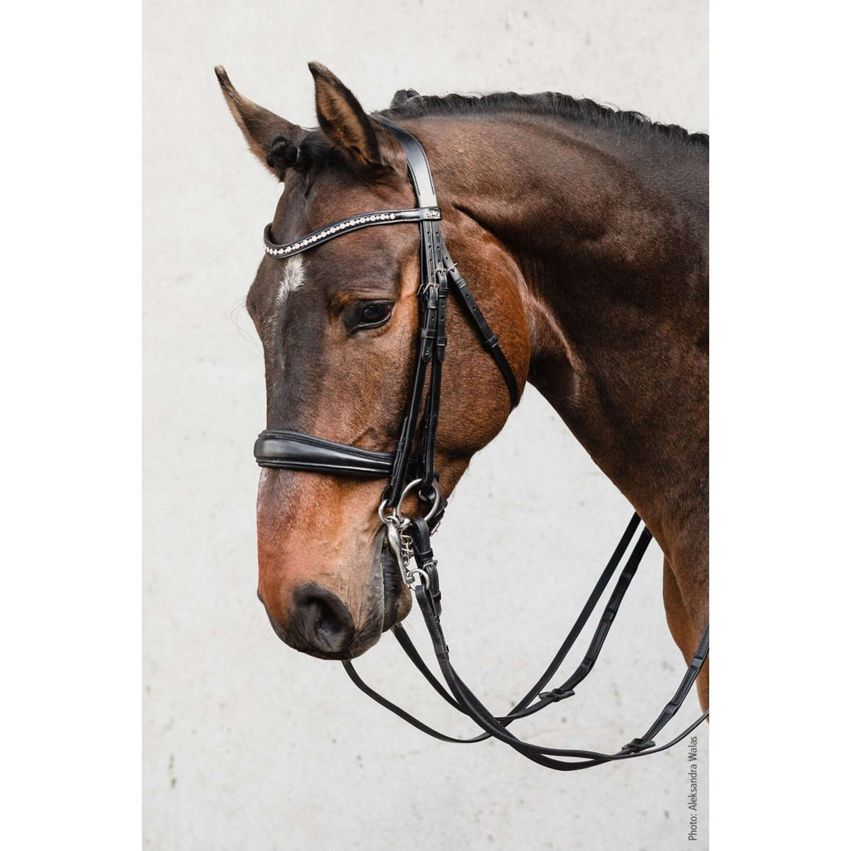 Schockemöhle Double Bridle Milton Black/Silver