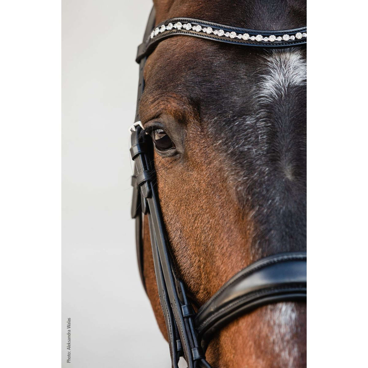 Schockemöhle Double Bridle Milton Black/Silver