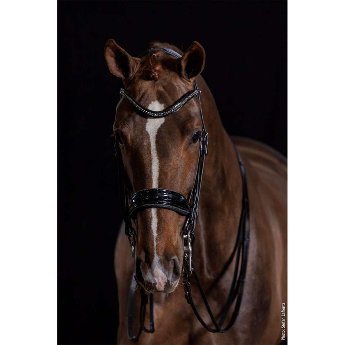 Schockemöhle Double Bridle Milan Glam Black/Patent/Silver