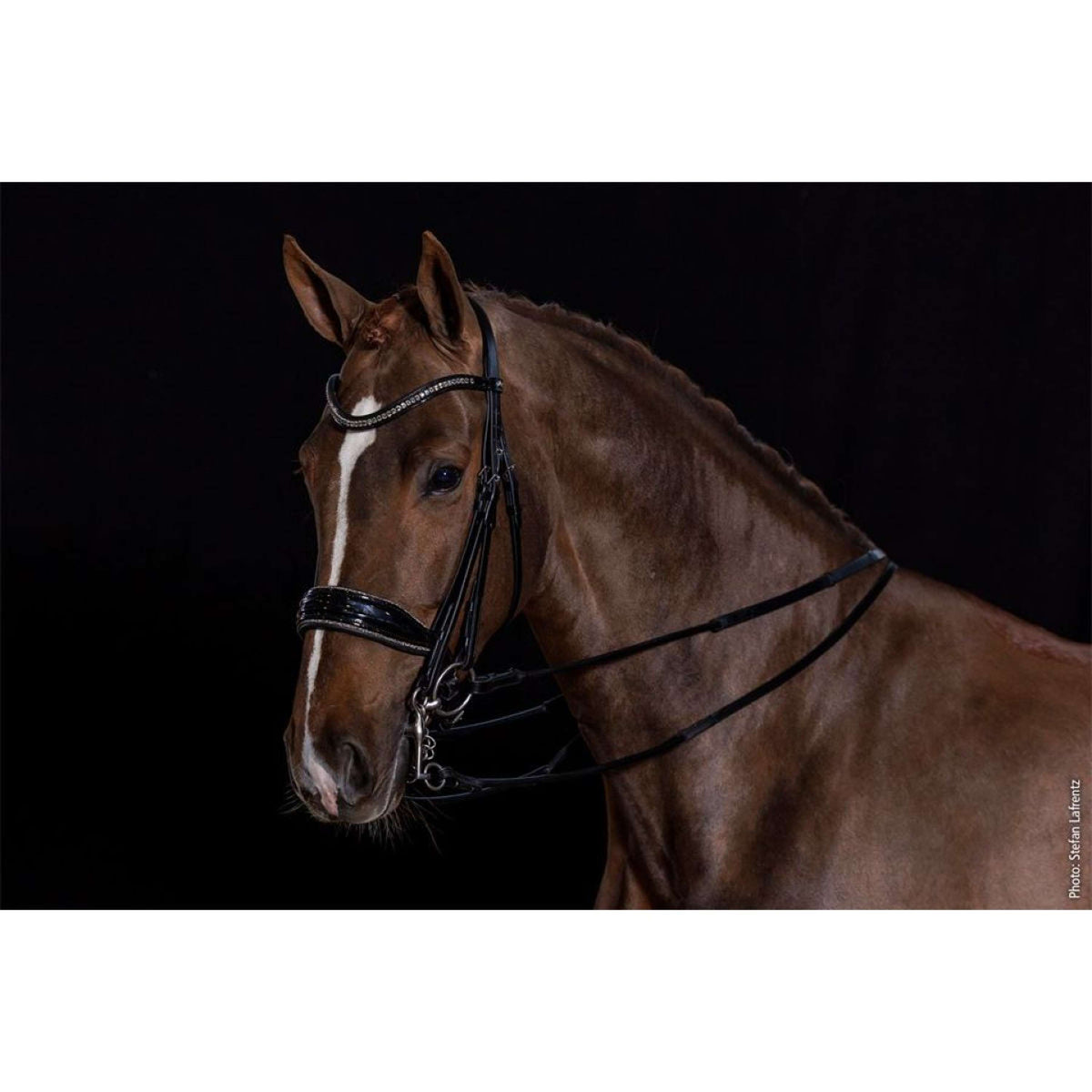 Schockemöhle Double Bridle Milan Glam Black/Patent/Silver