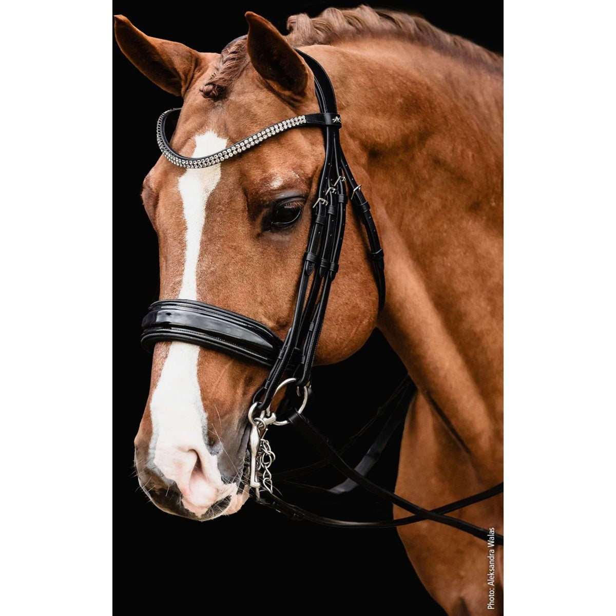 Schockemöhle Double Bridle Monticelli Black/Patent/Silver