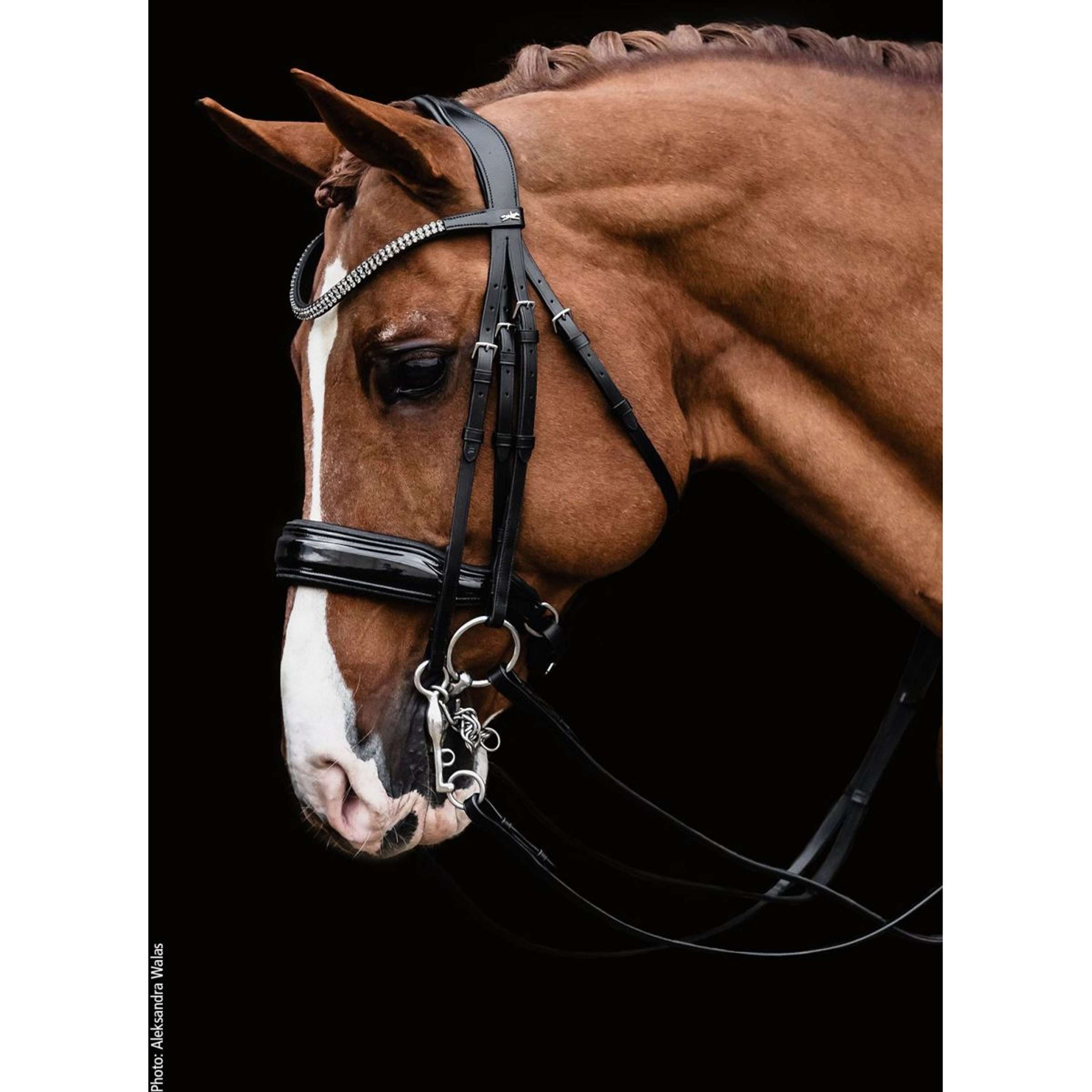 Schockemöhle Double Bridle Monticelli Black/Silver Schockemöhle Double Bridle Monticelli Black/Silver