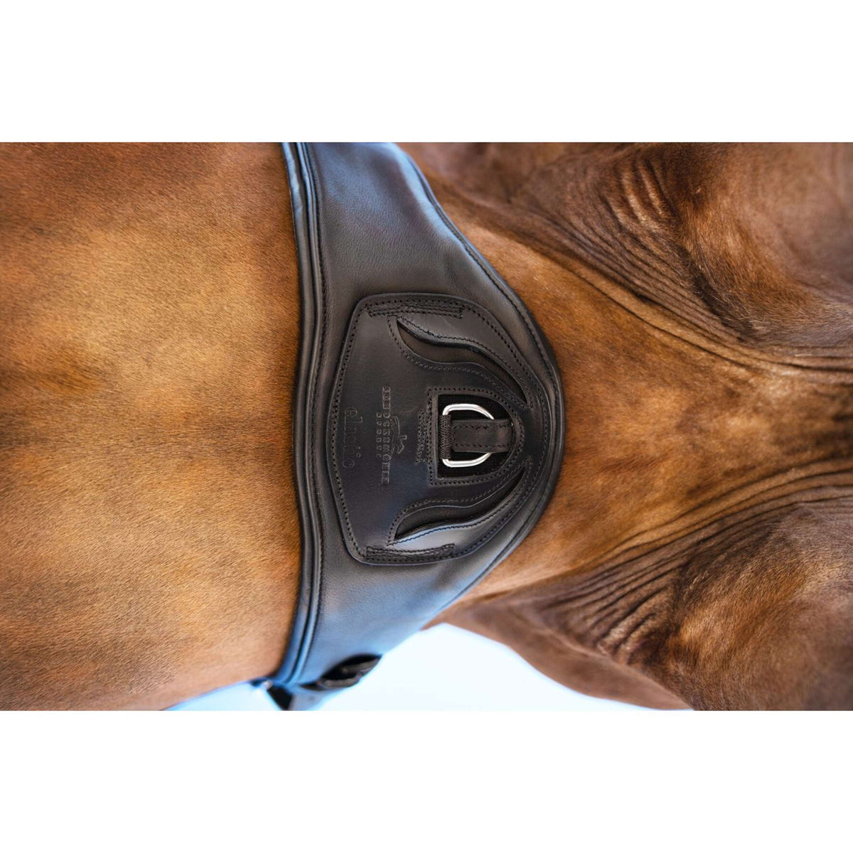 Schockemöhle Dressage Girth Pittsburgh Stretch Black/Silver