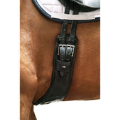 Schockemöhle Dressage Girth Pittsburgh Stretch Black/Silver