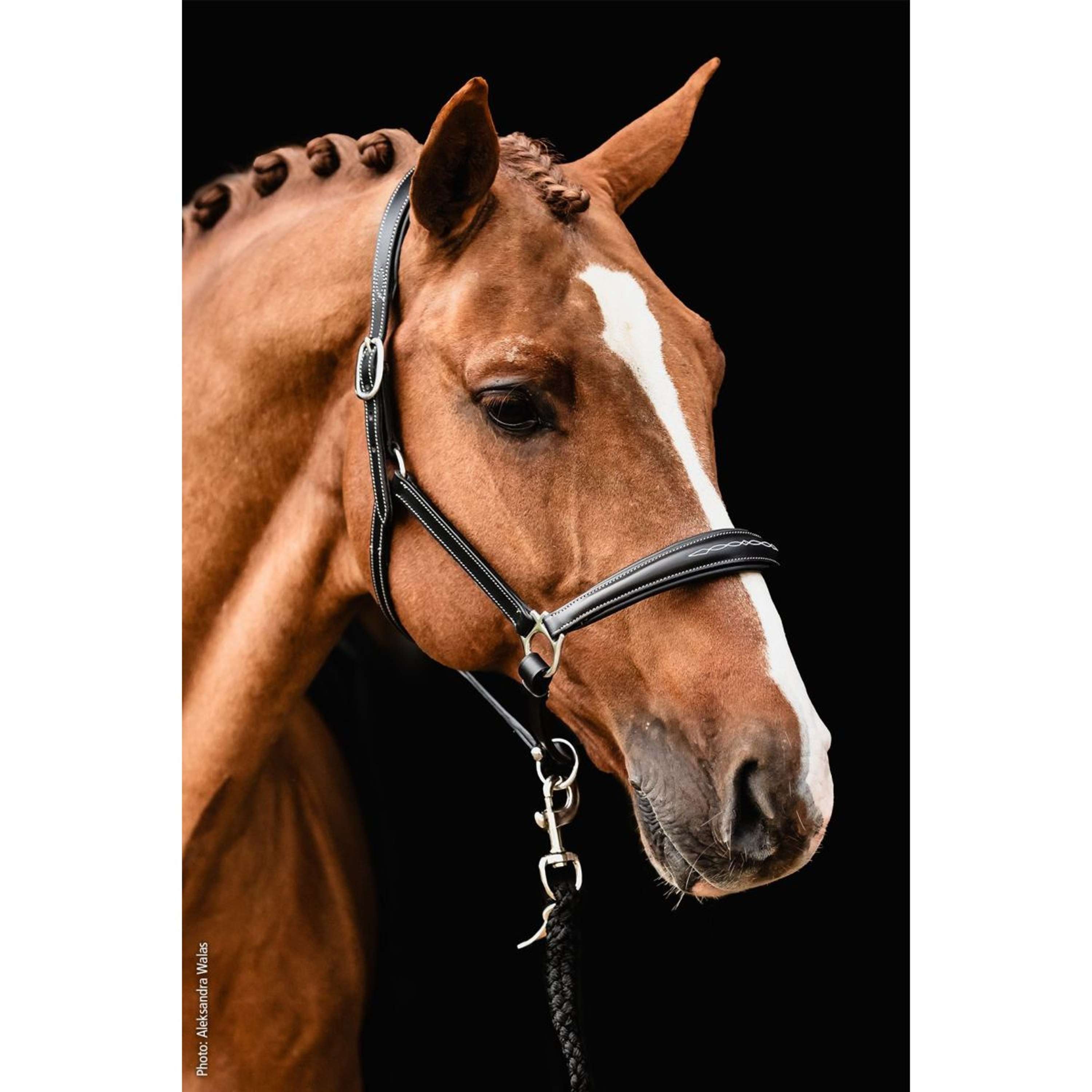 Schockemöhle Halter Fremont Pro Black/Silver