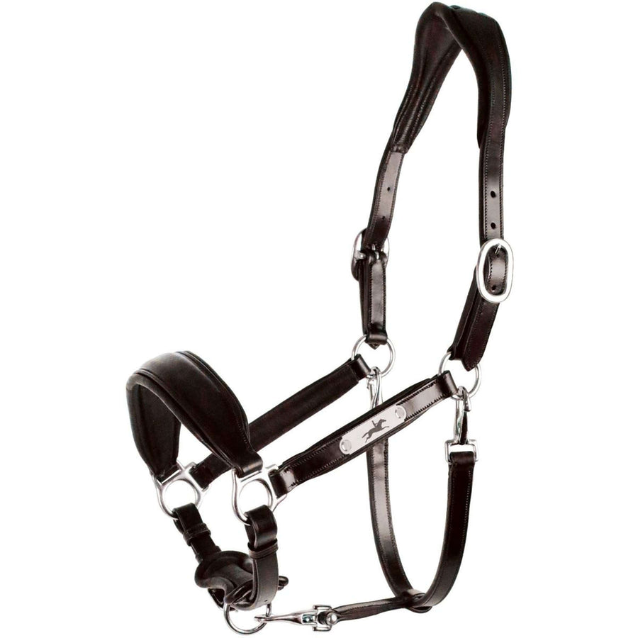 Schockemöhle Halter Fremont Pro Espresso/Silver