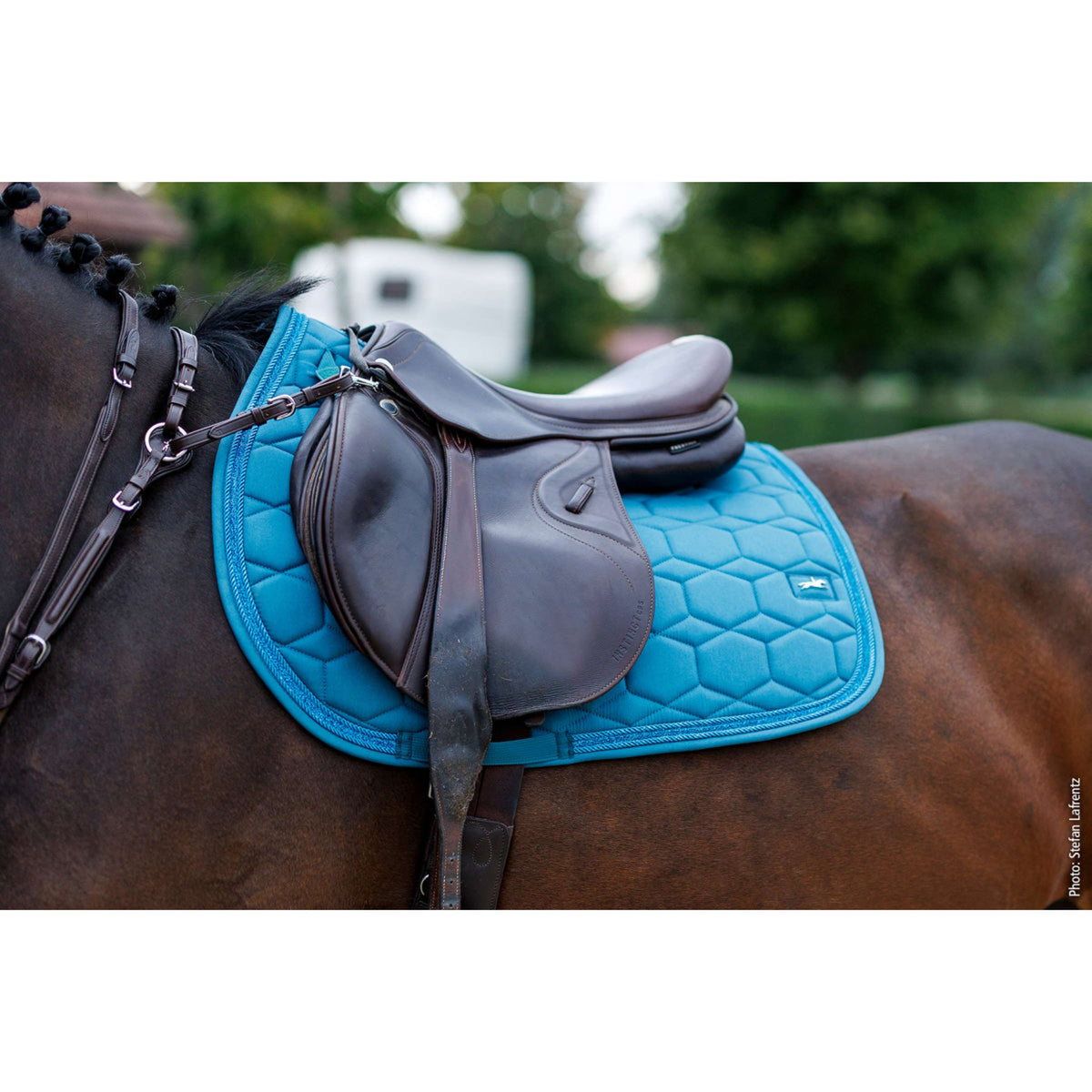 Schockemöhle Saddlepad SP High Density S Style Jumping Colonial Blue