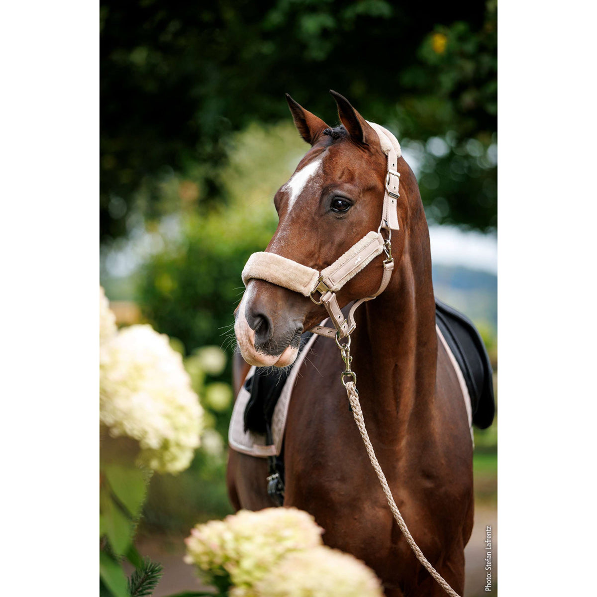 Schockemöhle Lead Rope SP Catch Style Musketon Hook Stone