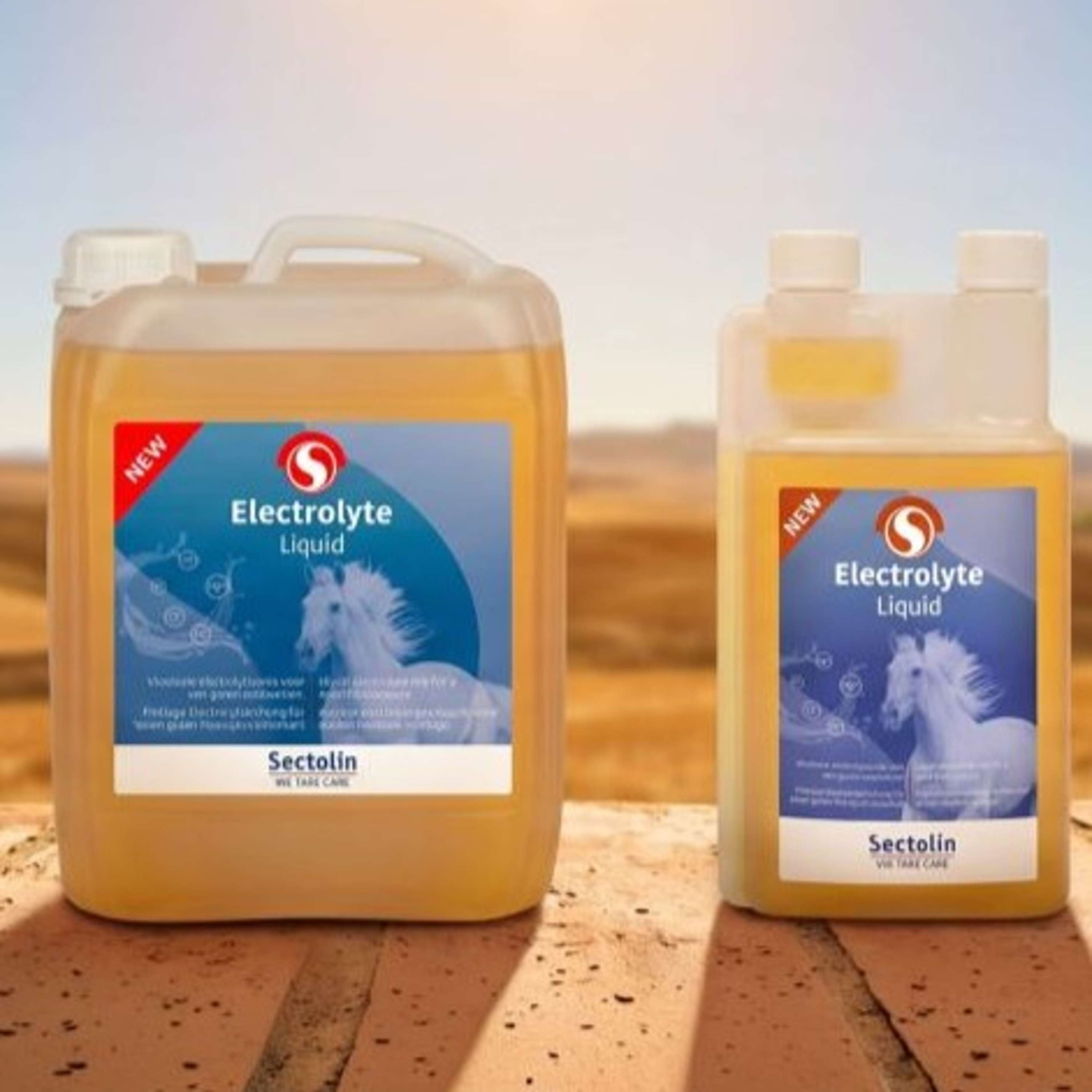 Sectolin Electrolyte Liquid