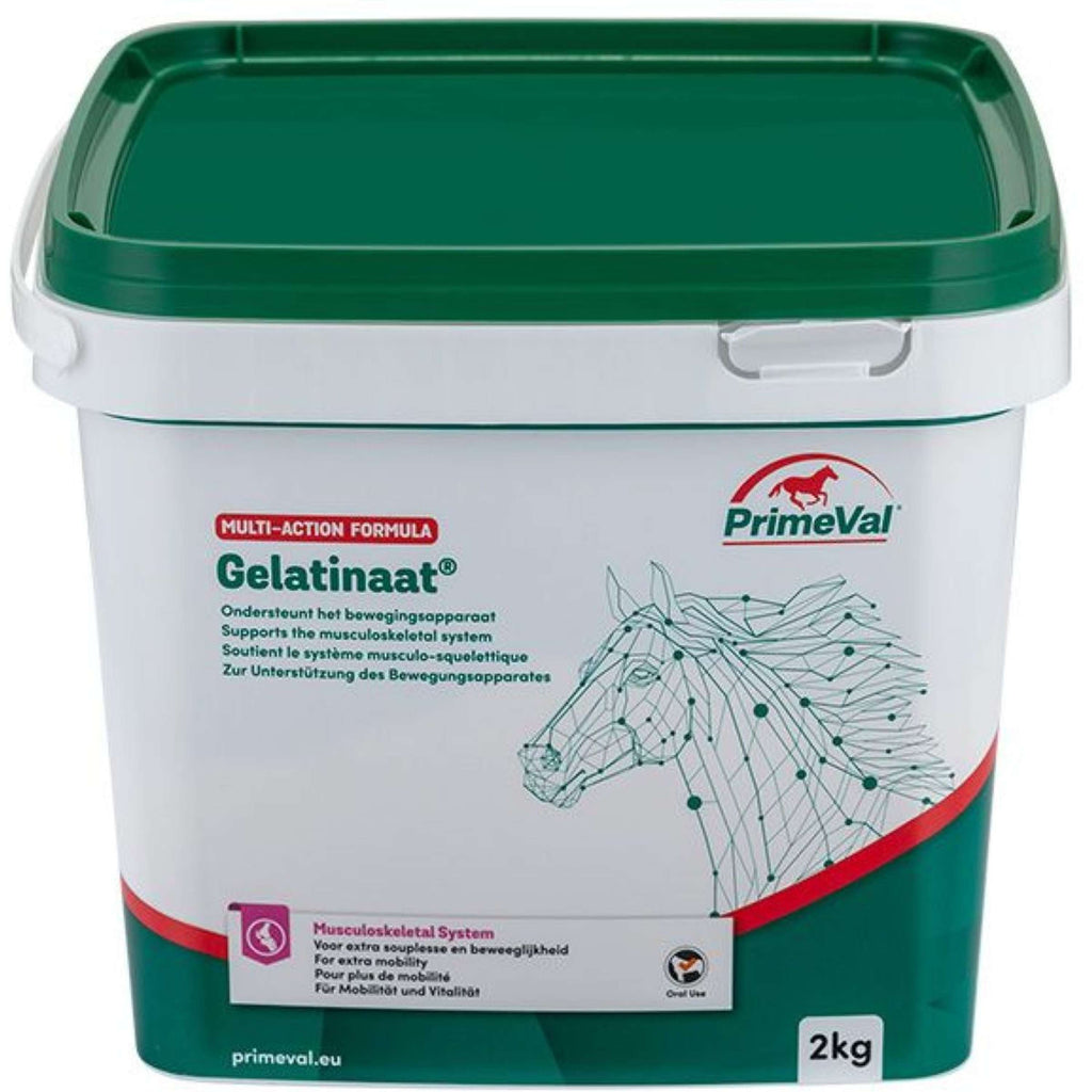 PrimeVal Gelatin Horse