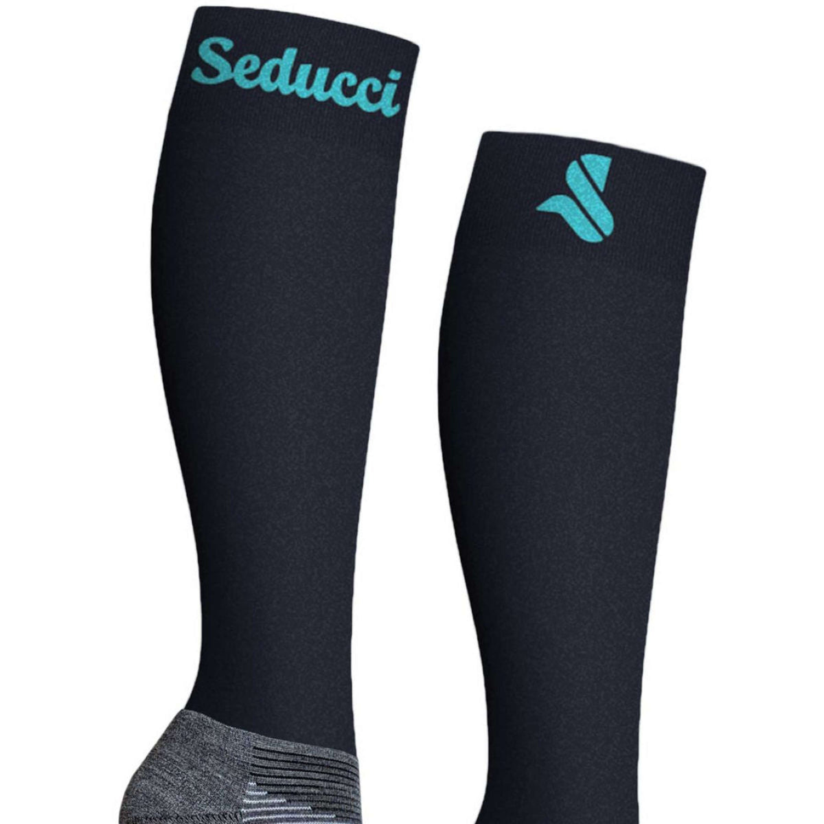 Seducci Socks Pro Wool Navy/Turquoise