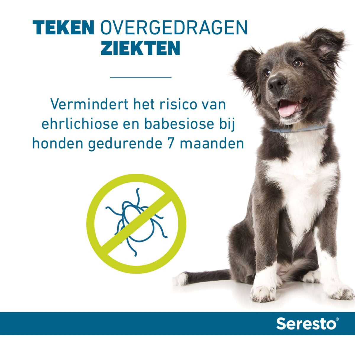 Seresto Tick and Flea Collar Small Dog max 8kg