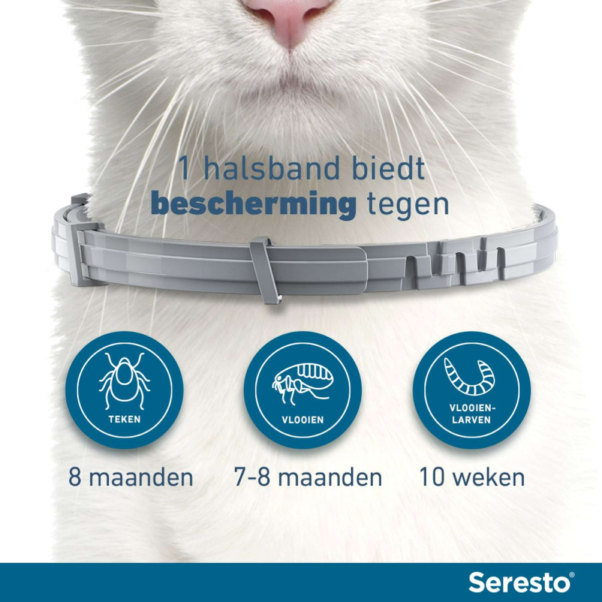 Seresto Tick and Flea Collar Cat to 8kg