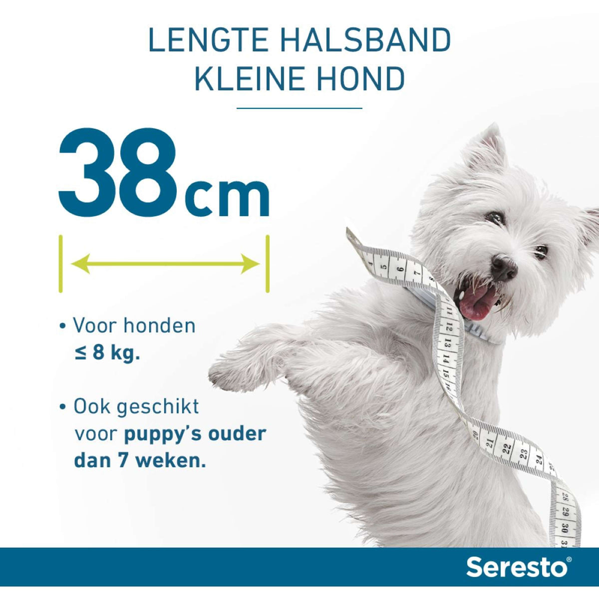 Seresto Tick and Flea Collar Small Dog max 8kg