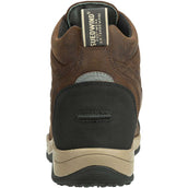 Suedwind Jodhpur Field FZ GripFTX Chocolate