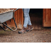 Suedwind Jodhpur Field FZ GripFTX Chocolate