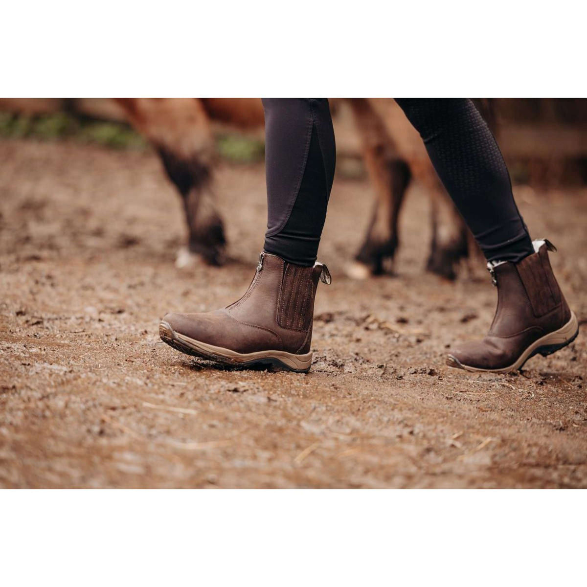 Suedwind Jodhpur Field FZ GripFTX Merino Brown