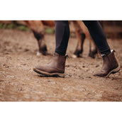 Suedwind Jodhpur Field FZ GripFTX Merino Brown