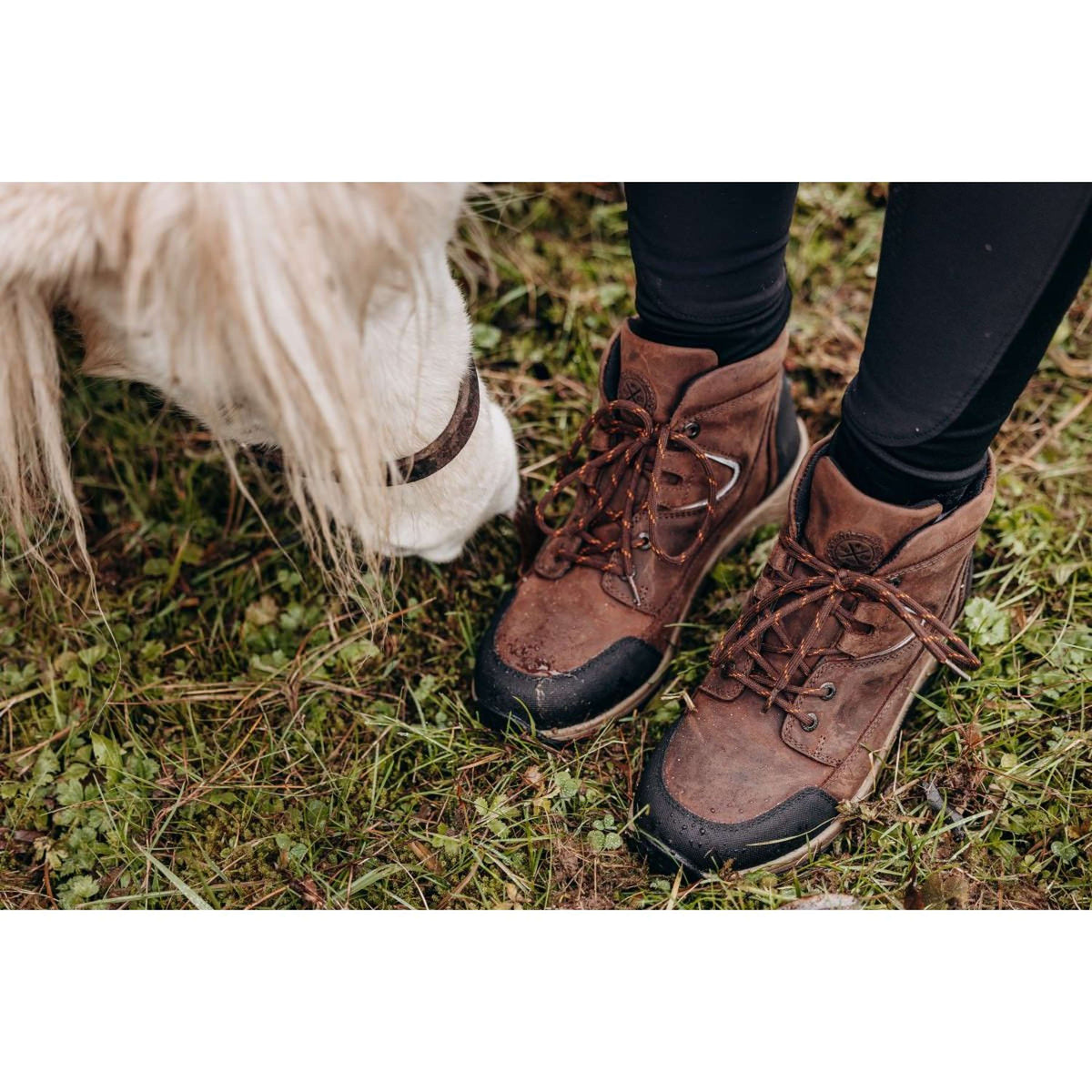 Suedwind Jodhpur Field Lace GripFTX Chocolate