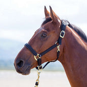 Shires Headcollar Topaz Nylon Black