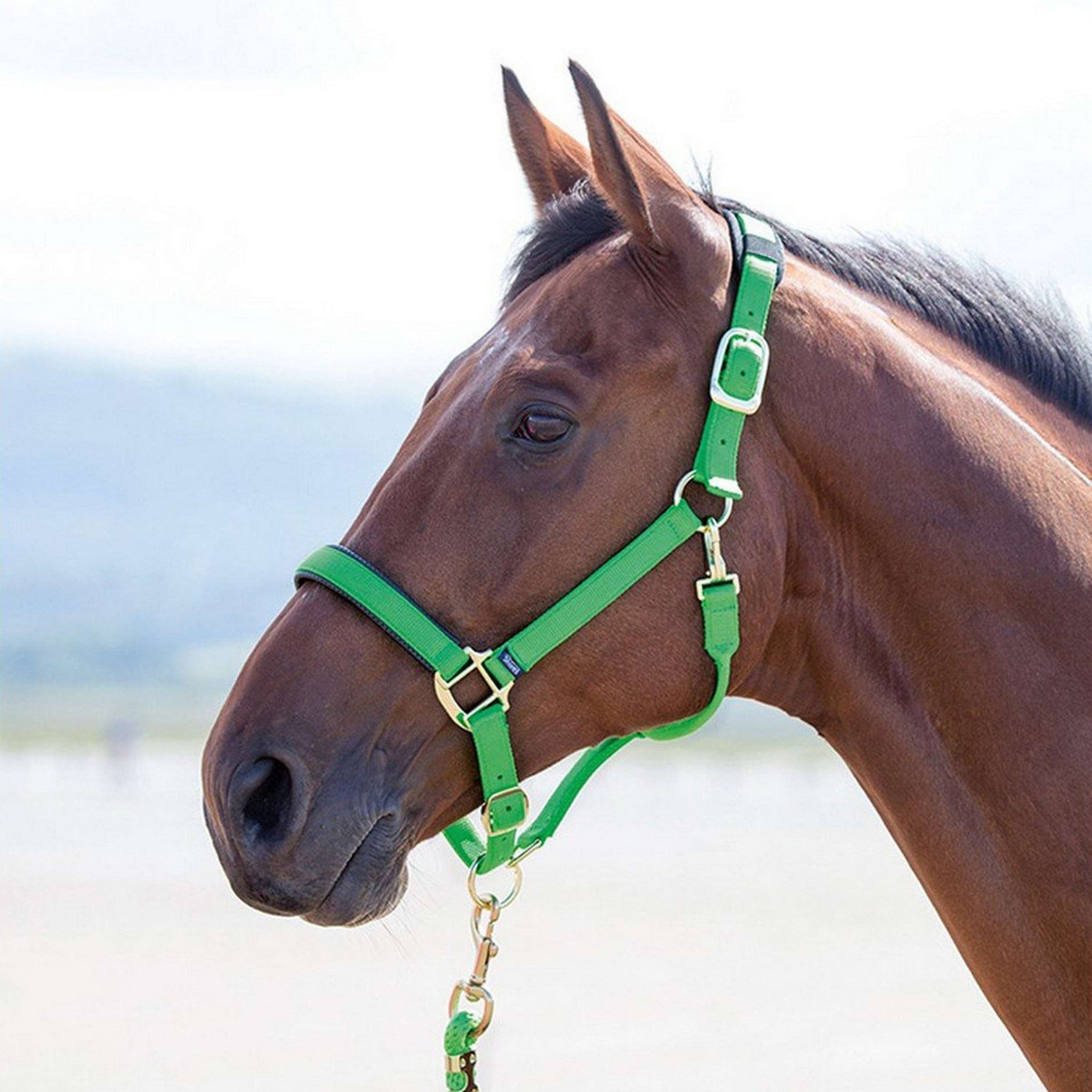 Shires Headcollar Topaz Nylon Green