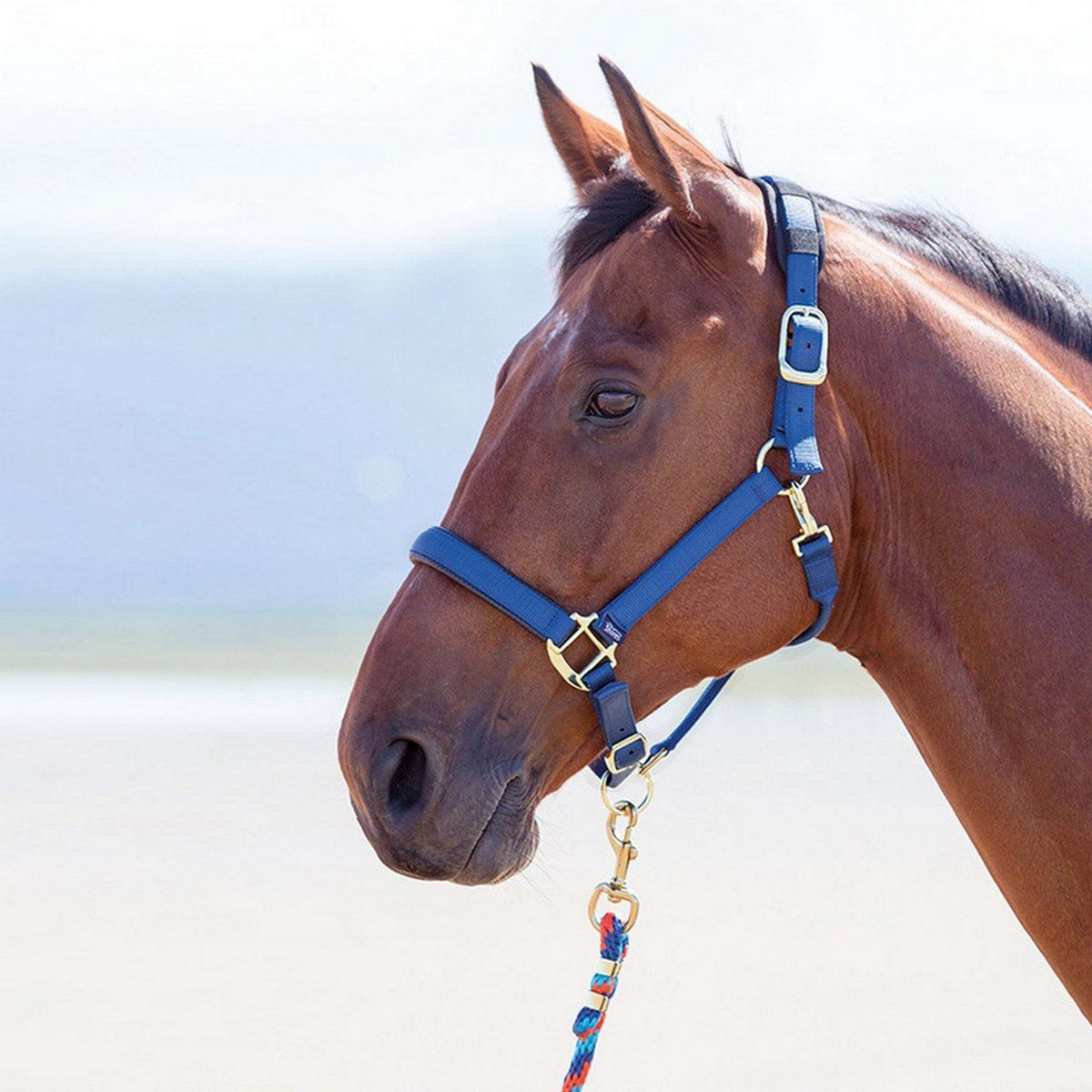 Shires Headcollar Topaz Nylon Navy