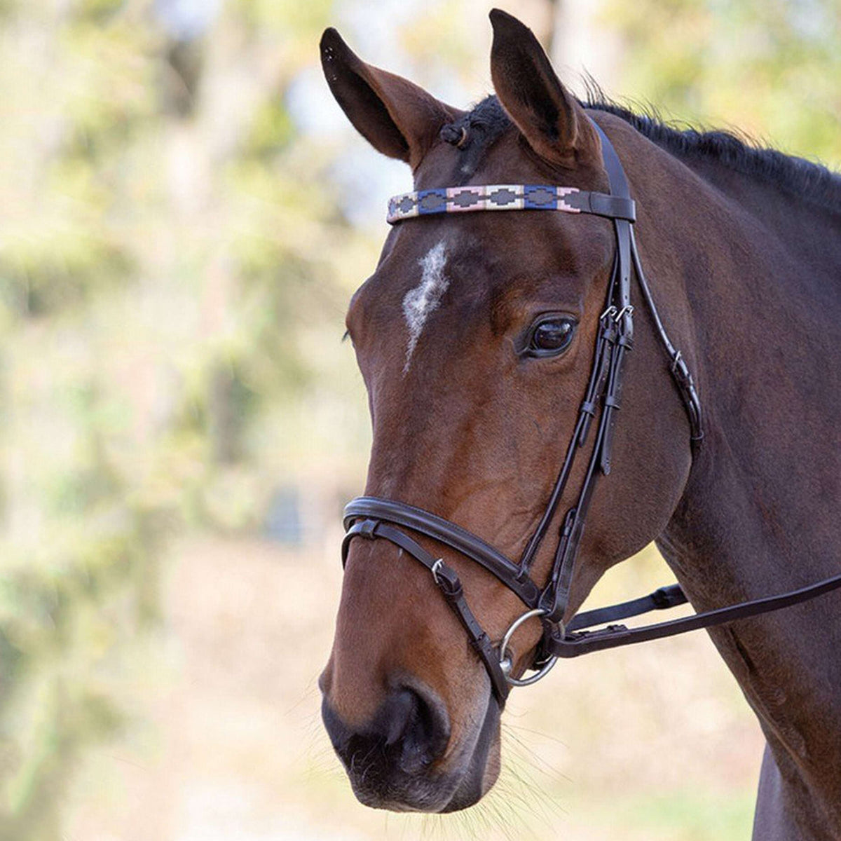 Blenheim Browband Polo Leather Pink/Natural/Navy